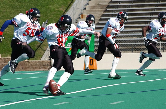 之间的合作 之间的合作