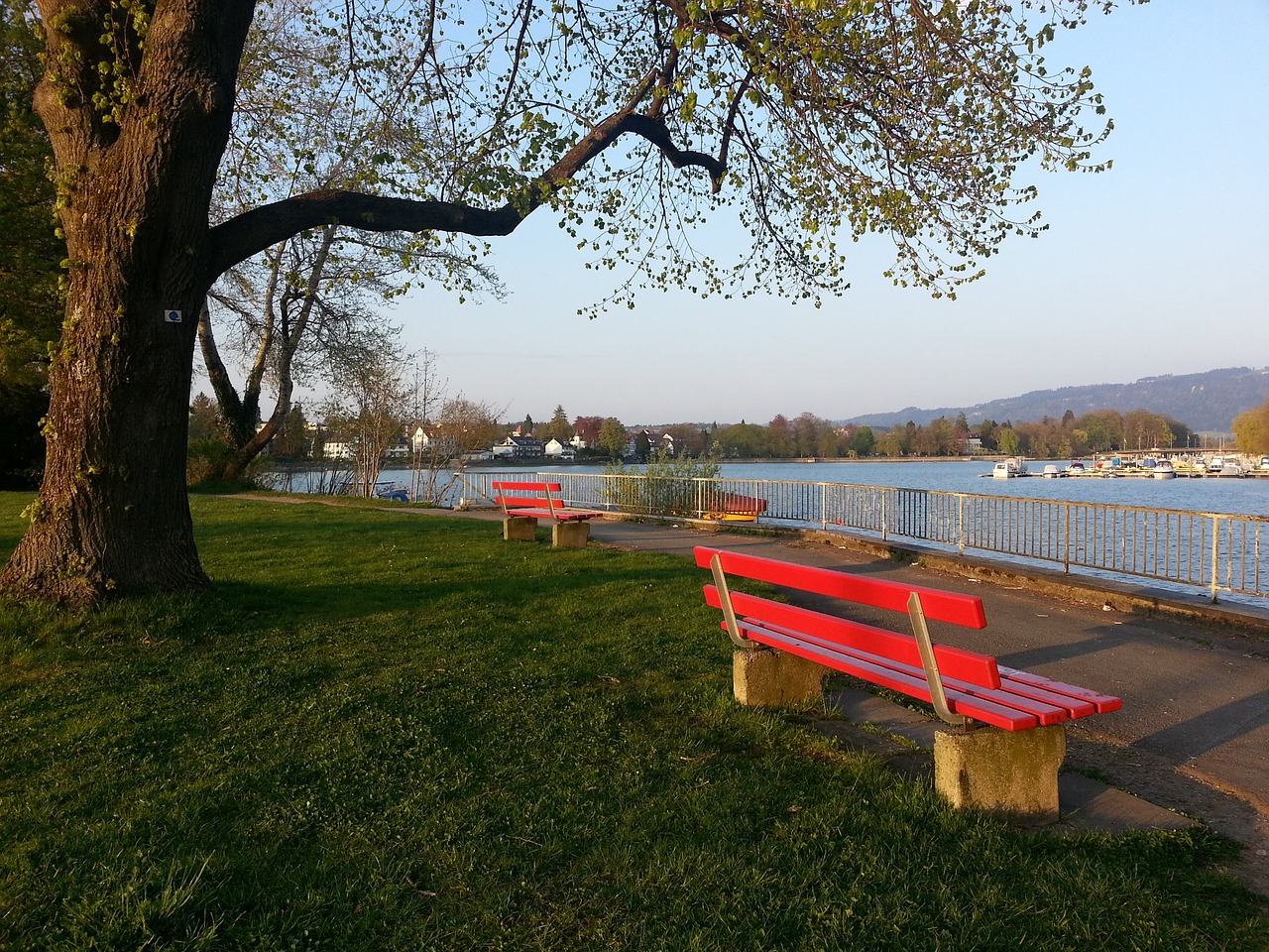 三分球无疑 三分球无疑