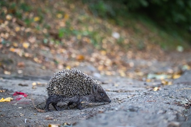 许多球员纷 许多球员纷