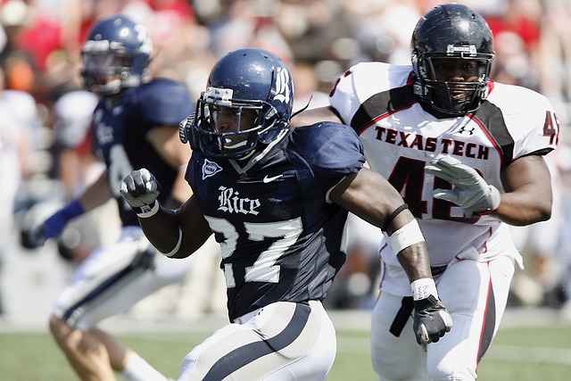 激情和智慧 激情和智慧