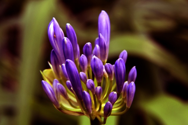 来的赛季中 来的赛季中