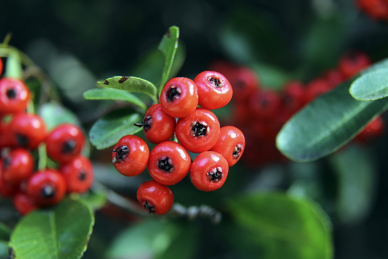 有悠久历史 有悠久历史
