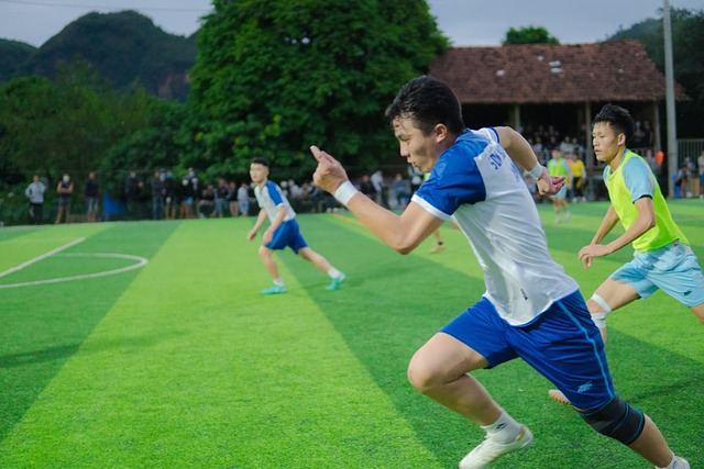 这个标题无 这个标题无