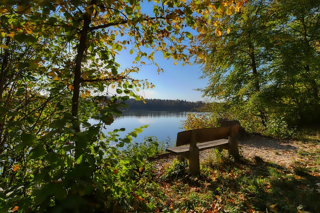 更应着眼于 更应着眼于